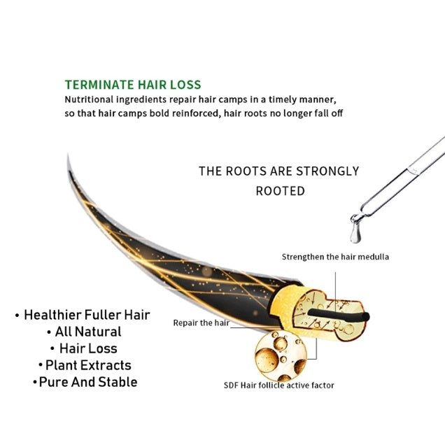 Ginger Hair Growth Essential Oils Hair Regrowth Serum