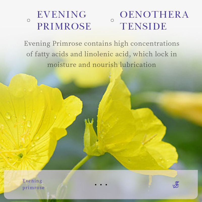 Sadoer Vitamin E Body Lotion 400ml Moisturizing