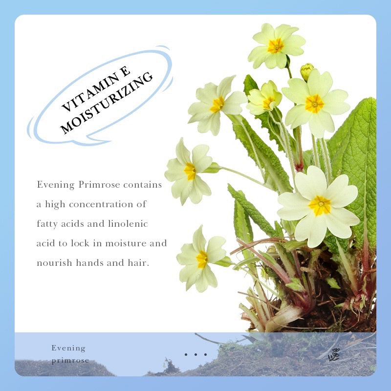 Sadoer Evening Primrose Vitamin E Serum Essence